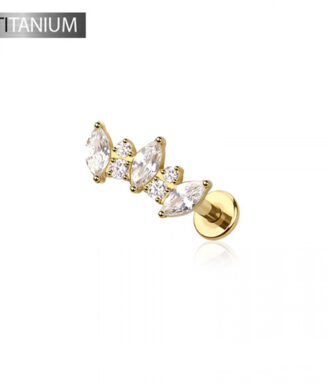 Titanium Marquise Labret Set