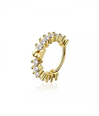 Dazzling Segmented Nose Hoop