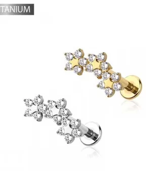 Titanium Triple Flower Labret (Push In)